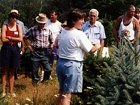 Massachusetts Christmas Tree Association | MCTA