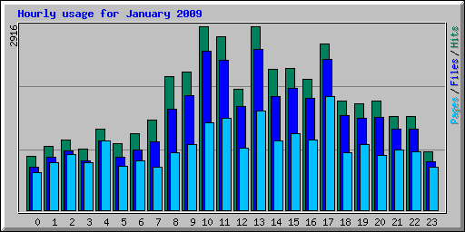 Hourly usage for January 2009