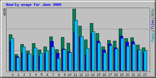 Hourly usage for June 2009