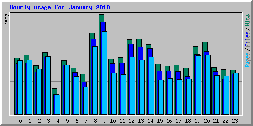 Hourly usage for January 2010